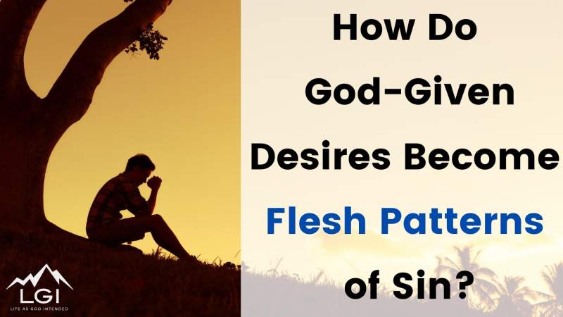 Read more about the article How Do God-Given Desires Become Flesh Patterns of Sin?
